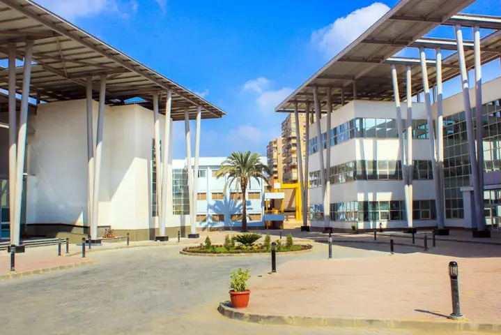  كليات الجامعة المصرية الصينية