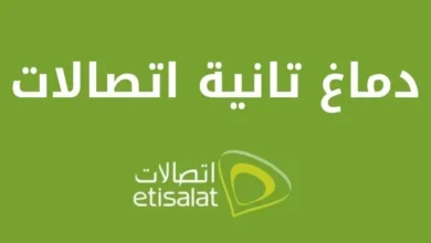 نظام دماغ تانية اتصالات