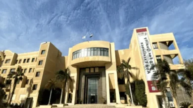 جامعة مصر الدولية